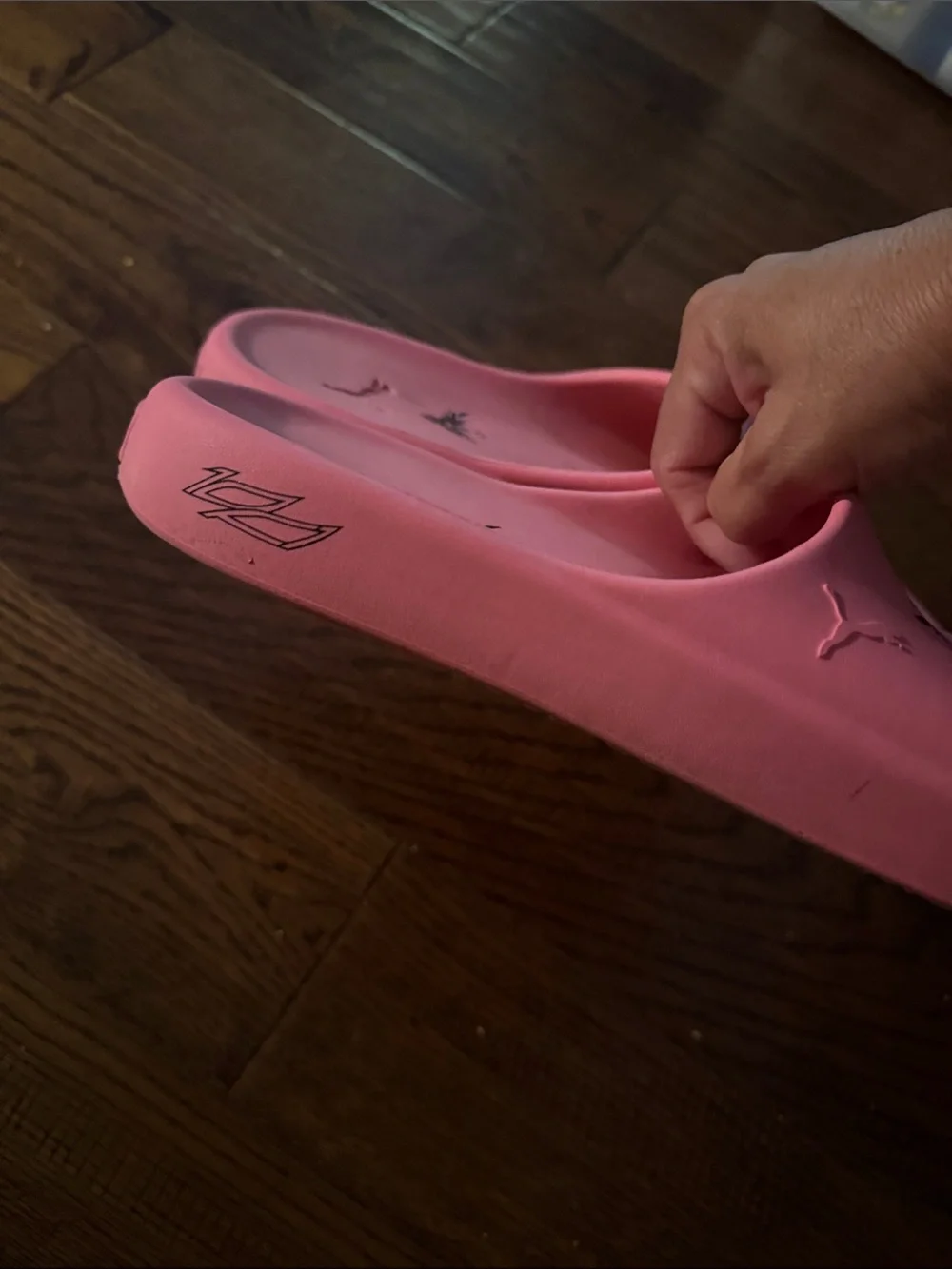 Puma Lamelo Ball x Shibui Cat Slides